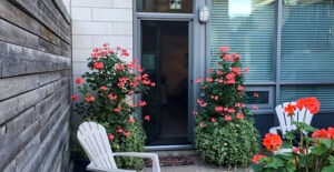 Vista One - Rollaway Series door out to a terrace.